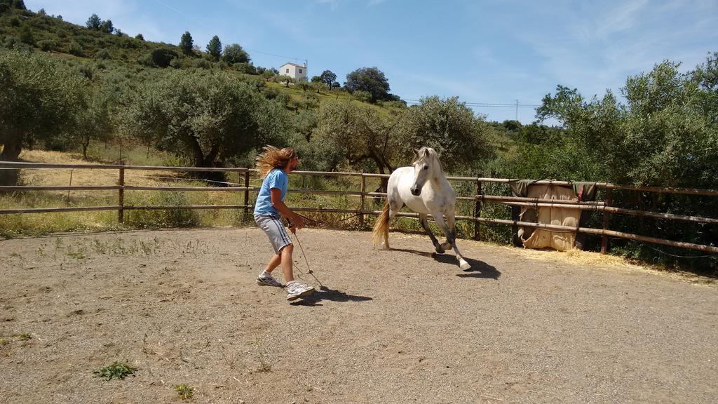Finca La Piedra Holidays Álora Zewnętrze zdjęcie