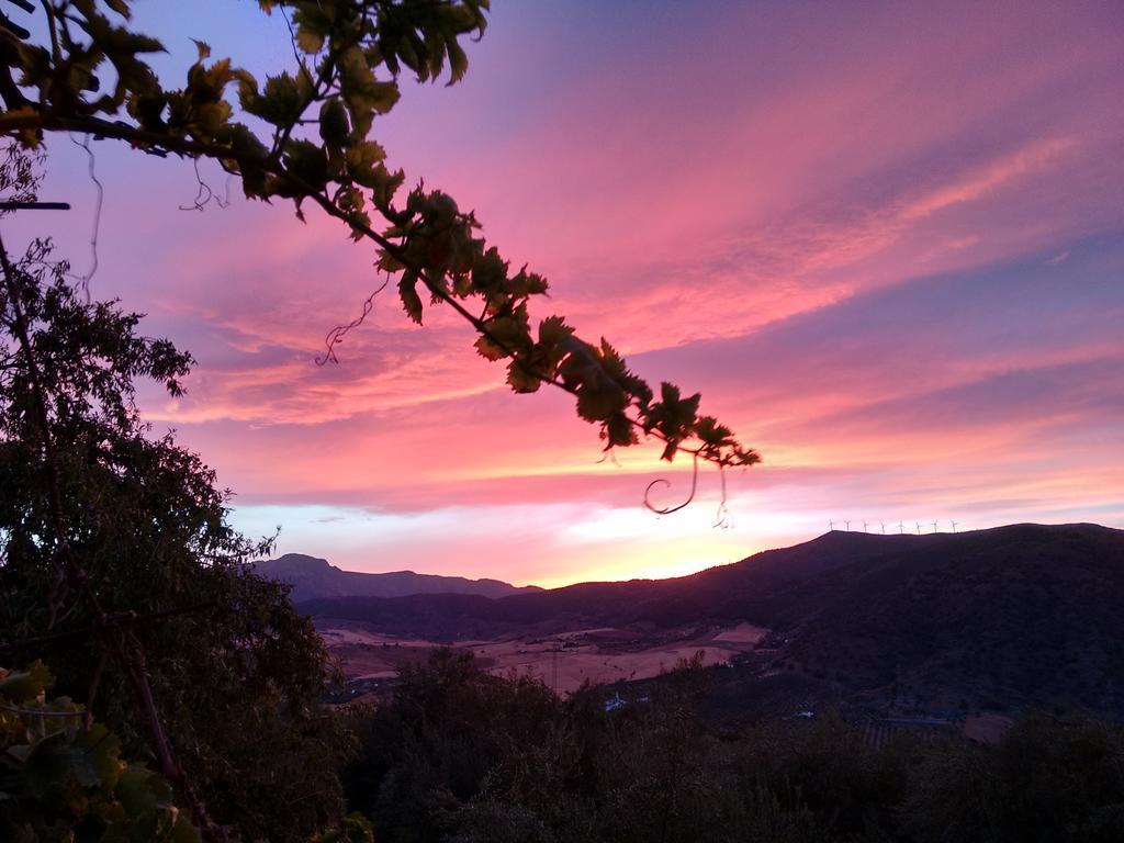 Finca La Piedra Holidays Álora Zewnętrze zdjęcie