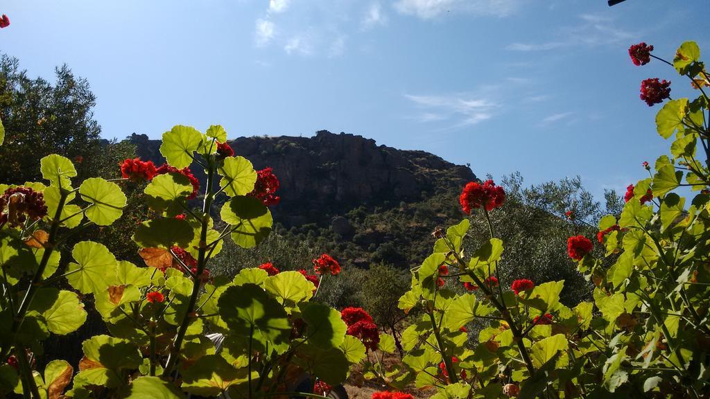 Finca La Piedra Holidays Álora Zewnętrze zdjęcie